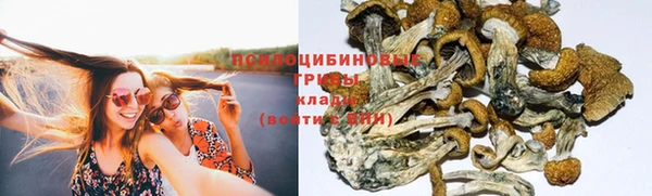 не бодяженный Инсар