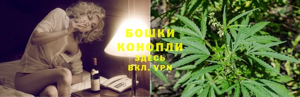 марки nbome Каменка