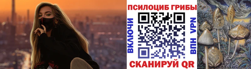 Купить  Горнозаводск  Псилоцибиновые грибы GOLDEN TEACHER 